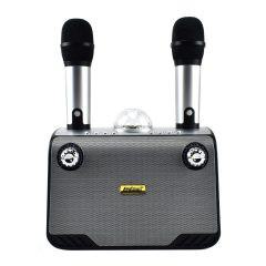 Συσκευή-Karaoke-15W-με-2-Ασύρματα-Μικρόφωνα-Bluetooth-Andowl-Q-YX899-Γκρι- Sfyri.gr - Ηλεκτρονικό Πολυκατάστημα