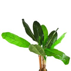 Τεχνητό Φυτό Γλάστρα Μπανανιάς 120cm OEM 3307 – Πράσινο - Sfyri.gr - Ηλεκτρονικό Πολυκατάστημα
