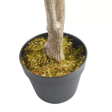 Τεχνητό Φυτό Γλάστρα “Δράκαινα” 155cm OEM 3335 – Πράσινο - Sfyri.gr - Ηλεκτρονικό Πολυκατάστημα