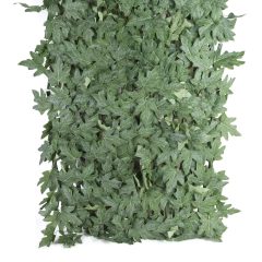 Τεχνητός Φράχτης Επεκτεινόμενος με Πράσινα Φύλλα 190x90cm OEM #4 - Sfyri.gr - Ηλεκτρονικό Πολυκατάστημα
