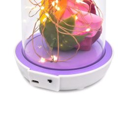 Διακοσμητικό Πολύχρωμο Λουλούδι σε Γυάλα με LED Φωτισμό OEM OLT-20 - Sfyri.gr - Ηλεκτρονικό Πολυκατάστημα